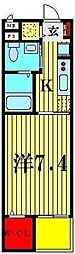 グレースコート