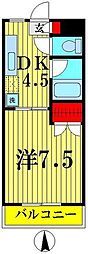 hikawa