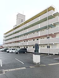 ゴールドフィールドB 302