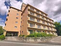 ヴァン・ゴッホA 202