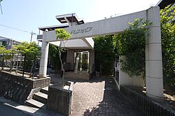 ドムスセピア 206