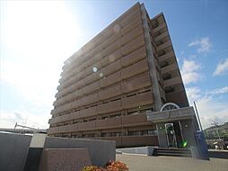 ペスカフィオーレ 605