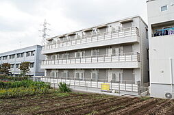 レッフィン　パハディス 205