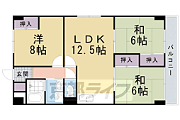 長岡京市井ノ内広海道