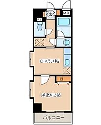マルシャンドリタジマ 305