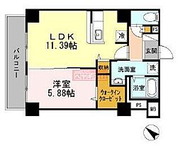 マグノリア グランディフローラ 202