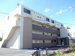 シーダーエース