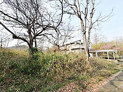 船井郡京丹波町富田蒲生野