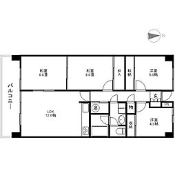 メゾンデュオーラ信濃
