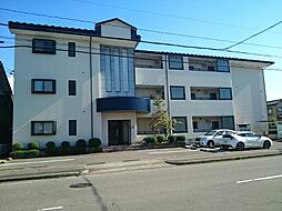 Ｔ．レックス 302