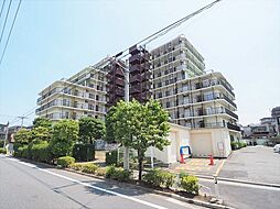 蓮根サンハイツ 新規内装リフォーム物件