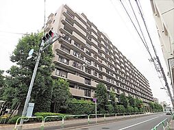 ソルフェスタ赤羽 新規内装リフォーム