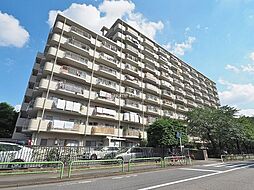 蓮根ファミールハイツ 1号棟 新規リフォーム物件