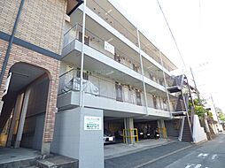 パシフィック紫 103