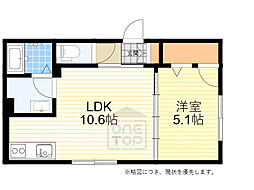 Shamaison blanche茨木