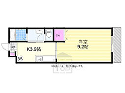 グレイスコート