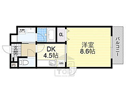 グレイスフォンティーヌ