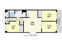 シロハイヌ今米