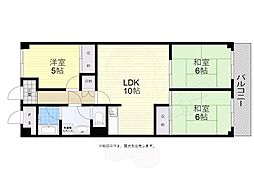 シロハイヌ今米