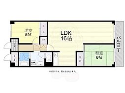 シロハイヌ今米