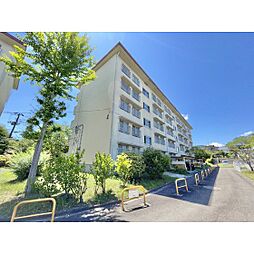 仙台中山団地4号棟 205