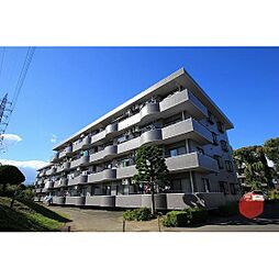 ラフィーヌ清水II 208