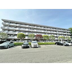 ラフィーヌ清水 407