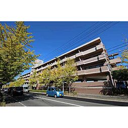 YSKコーポ中山台 403