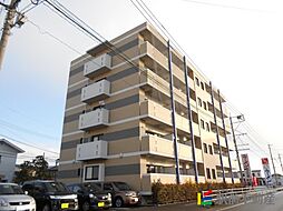 サングリーム 206