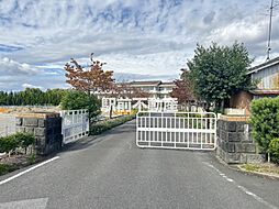 エグゼクティブ　フィーリア 502