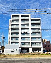 SANSEVIERIA参道 502