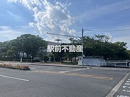 ERIRUNA MIKADUKI 205