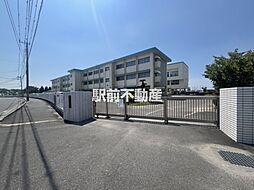 リコーザ B