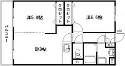 パドュドュ 202