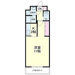 セントジョセフB 305