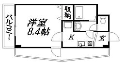 オリーブ 204