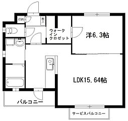 カシオペア 201