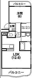 スプリングウインド 302