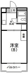 シャロームアイ 105