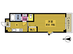 ルミナスハイツ亀川 405