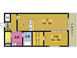 Ｃｏｃｏｌｉｅ 205