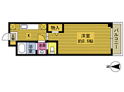 ルミナスハイツ亀川 205