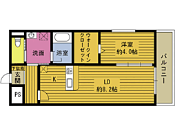 Ｃｏｃｏｌｉｅ 301