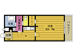 ＳＡＫＵＲＡ 203