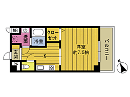 サイネリア長尾 307