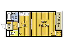 ブライトンスポット 305