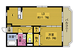 グラービアＭIII 205