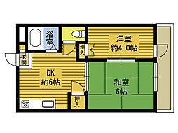 シャングリラ猪野 302