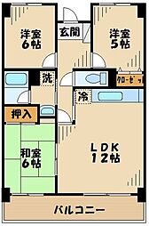 レジェンド本厚木 504