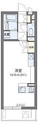 ミランダキャトル